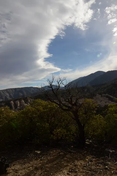 DSC_6238 (Large).JPG